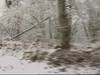 Nieve y temperaturas g&eacute;lidas en todo el pa&iacute;s 